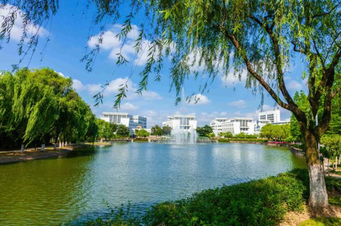 定制開發夏令營報名系統