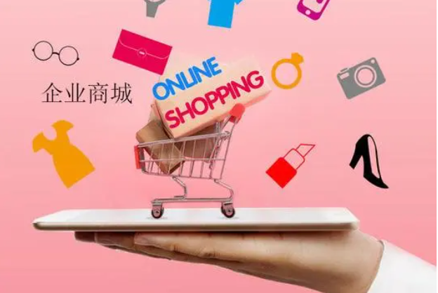 企業(yè)網(wǎng)店系統(tǒng)開發(fā)